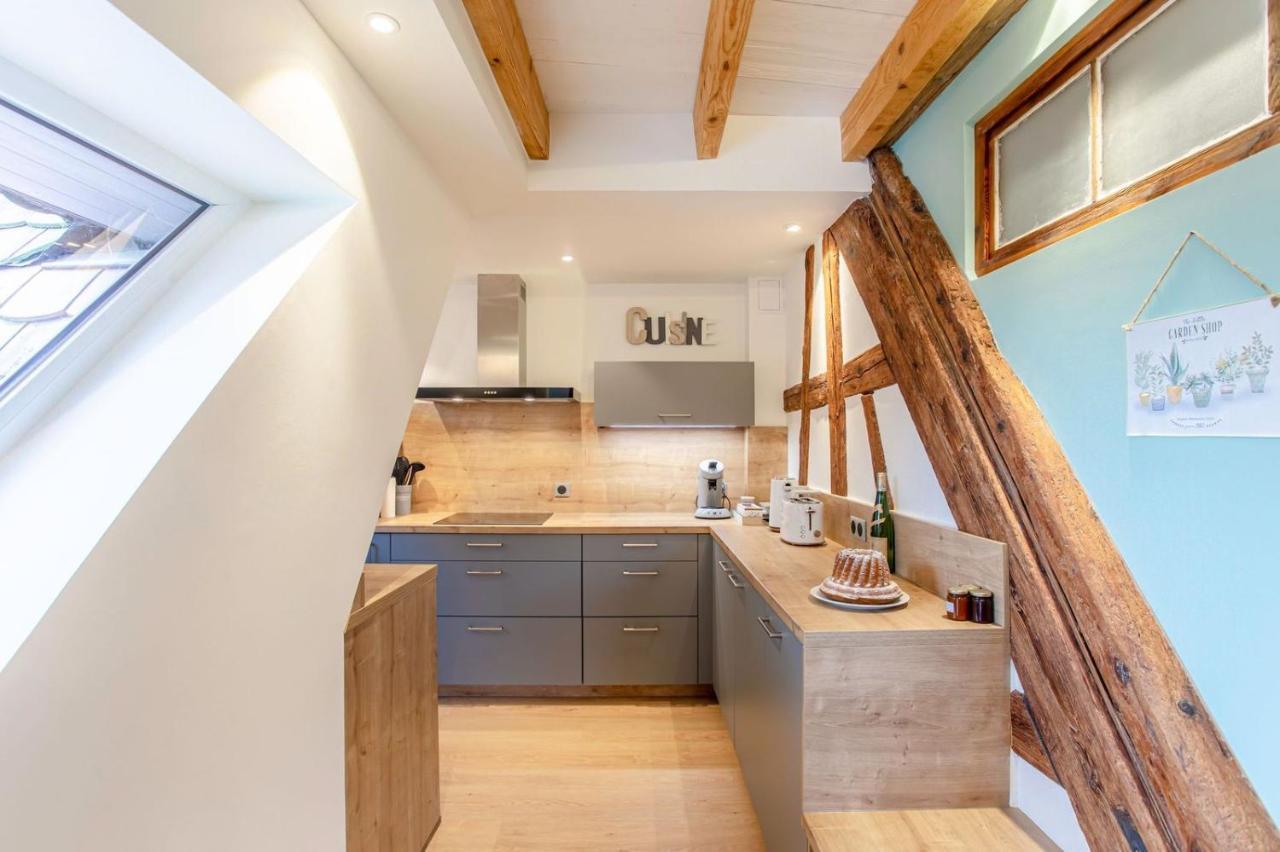 Appartement La Rodernelle - Sauna Privatif - Climatisation - Vue Sur Le Château Du Kœnigsbourg Rodern