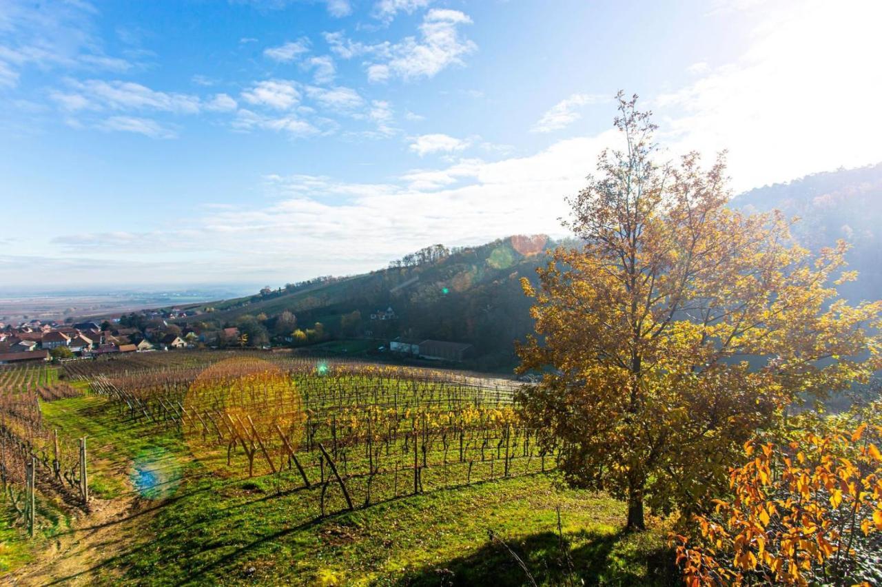 Appartement La Rodernelle - Sauna Privatif - Climatisation - Vue Sur Le Château Du Kœnigsbourg *