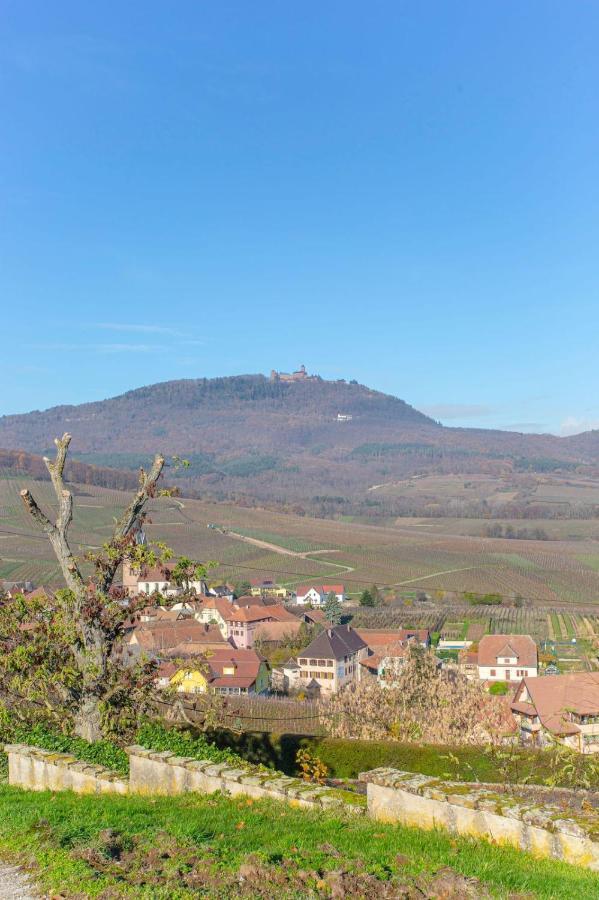 La Rodernelle - Sauna Privatif - Climatisation - Vue Sur Le Château Du Kœnigsbourg * Rodern