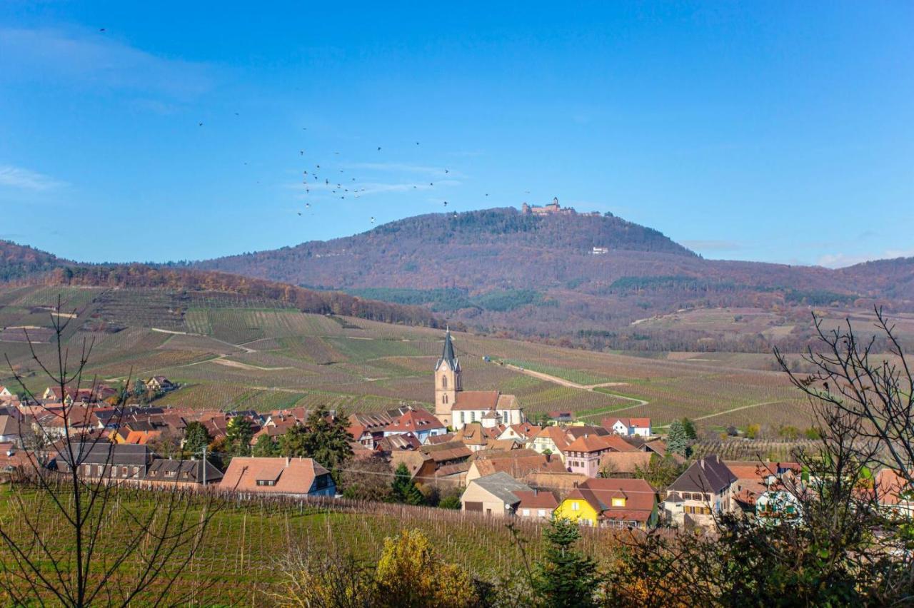 La Rodernelle - Sauna Privatif - Climatisation - Vue Sur Le Chateau Du Koenigsbourg Rodern